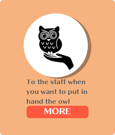 owlcafe harauku owl's to the staff when you want to put in hand the owl.