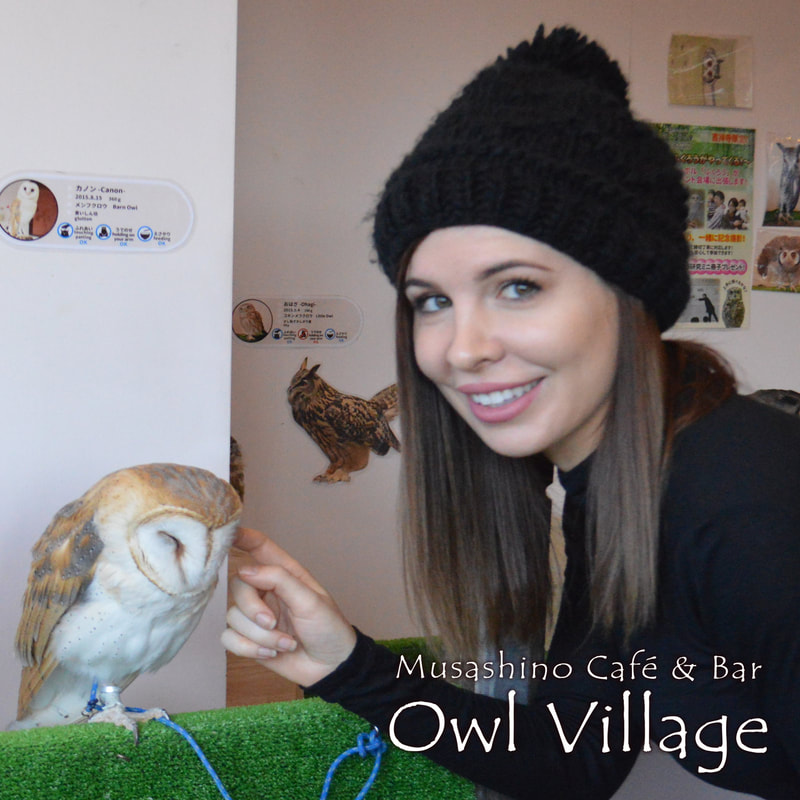 owl cafe harajuku in tokyo social distance-003