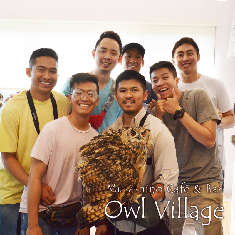 owlcafe harajuku Singaporean friends play with owls