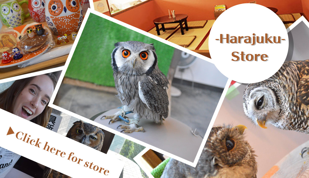 Move to the owlcafe Harajuku store page About us